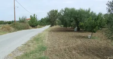 Działka w Mesimeri, Grecja