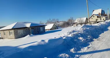 Dom 3 pokoi w Fanipalski sielski Saviet, Białoruś