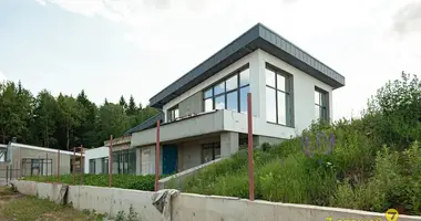 Dom w Ozyaritska Slabadski rural council, Białoruś