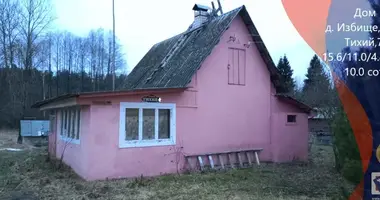 Дом в Туринский сельский Совет, Беларусь