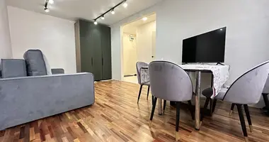 2 bedroom apartment in Minsk, Belarus