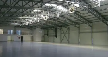 10% Yield fully rented warehouse in Bukarest, Rumänien