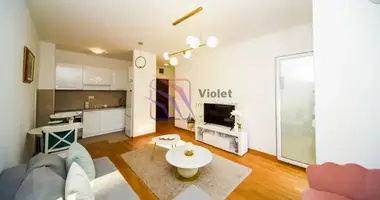 1 bedroom apartment in Podgorica, Montenegro