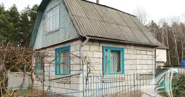 Maison dans Znamienski sielski Saviet, Bélarus
