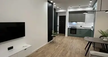 1 bedroom apartment in Tbilisi, Georgia