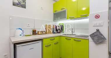 Wohnung 1 Schlafzimmer in Radici, Kroatien