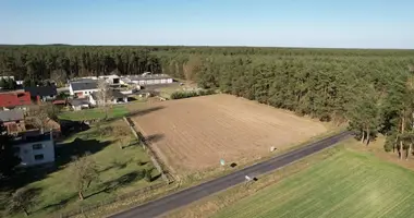 Terrain dans Barloznia Wolsztynska, Pologne