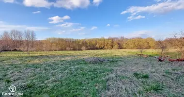Plot of land in Putcynski sielski Saviet, Belarus