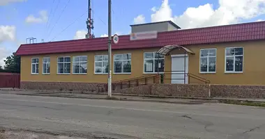 Propiedad comercial 344 m² en Rechytsa, Belarús