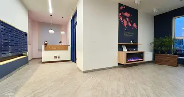 3 room apartment in Minsk, Belarus