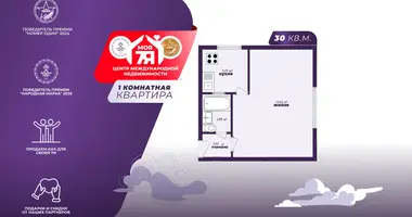 Wohnung 1 zimmer in Minsk, Belarus