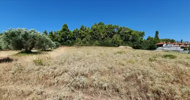 Участок земли в Kassandra Municipality, Греция