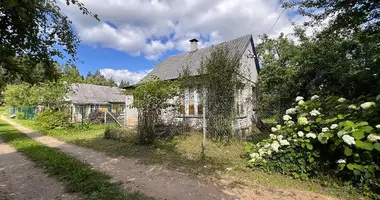 House in Rakauski sielski Saviet, Belarus