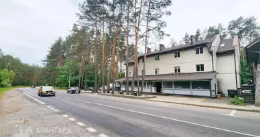 Restaurant 962 m² in Zdanovicy, Belarus