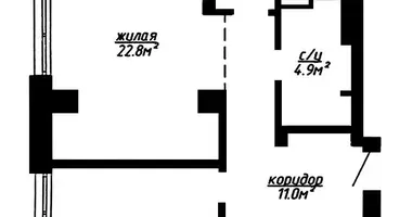 2 room apartment in Minsk, Belarus