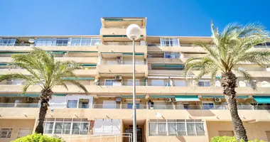 Apartamento 1 habitación en Guardamar del Segura, Španjolska