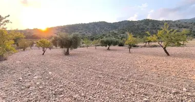 Apartment in el Pinos Pinoso, Spain