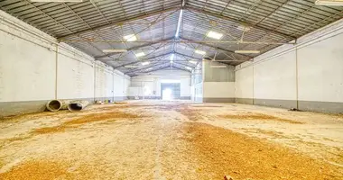 Warehouse 650 m² in Avenida de Miguel Angel Blanco, Spain