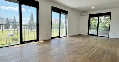 Apartment in Podgorica, Montenegro