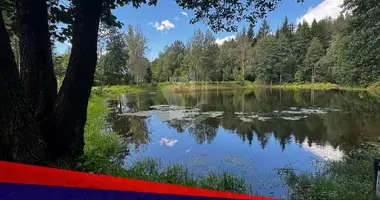 House in Jzufouski sielski Saviet, Belarus