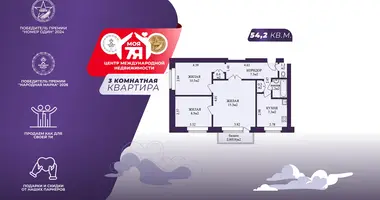 3 room apartment in Minsk, Belarus