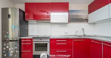 1 bedroom apartment in Minsk, Belarus