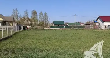 Plot of land in Cerninski sielski Saviet, Belarus