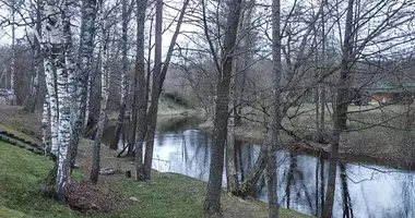House in Naracanski sielski Saviet, Belarus