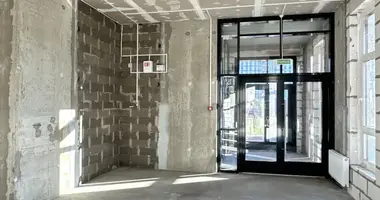 Commercial property 84 m² in Minsk, Belarus