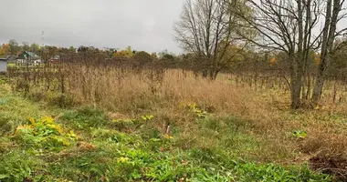 Участок земли в Сельцо, Россия