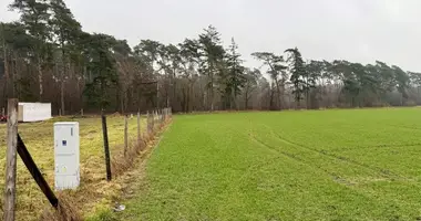 Maison dans gmina Steszew, Pologne