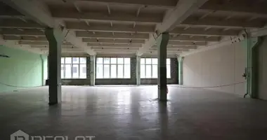 Коммерческое помещение 250 м² в Рига, Латвия