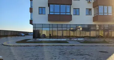 Propriété commerciale 105 m² dans Odessa, Ukraine