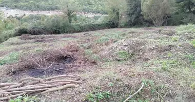 Parcela en Lastva Grbaljska, Montenegro