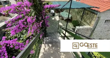Maison 5 chambres dans Opcina Dezanovac, Croatie