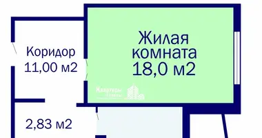 1 room apartment in Minsk, Belarus