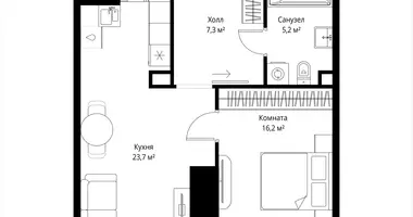 1 room apartment in Moscow, Russia