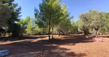 Terrain dans Metamorfosi, Grèce