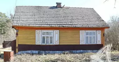 House in Tomashovskiy selskiy Sovet, Belarus