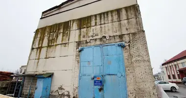 Склад 593 м² в Плисский сельский Совет, Беларусь