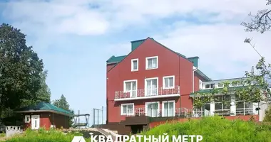 Cottage in Chaciezynski sielski Saviet, Belarus