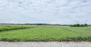 Plot of land in Papiarnianski sielski Saviet, Belarus