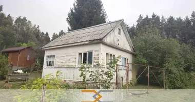 Дом в Ждановичский сельский Совет, Беларусь