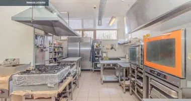 Gewerbefläche 130 m² in Kedahnen, Litauen