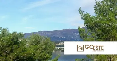 Plot of land in Opcina Dezanovac, Croatia