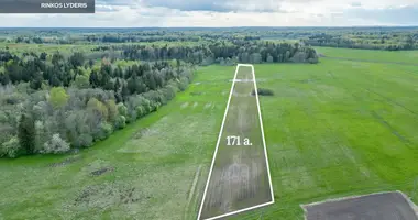 Działka w Szyrwinty, Litwa