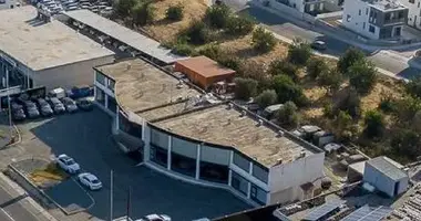 Propiedad comercial 606 m² en Mesogi, Chipre