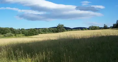 Участок земли в Община Даниловград, Черногория