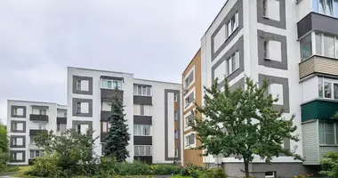 Квартира 1 комната в Новая Мильча, Беларусь