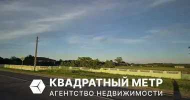 Plot of land in Dziescanski sielski Saviet, Belarus